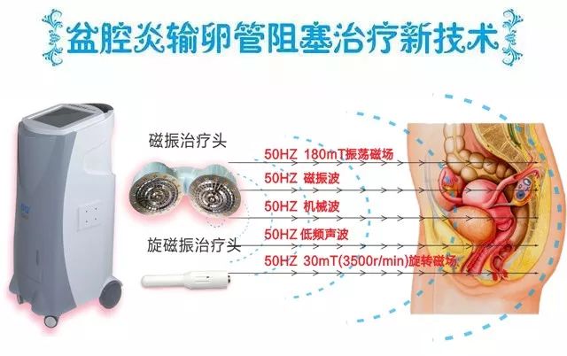 1571992035225729.jpg 11.jpg